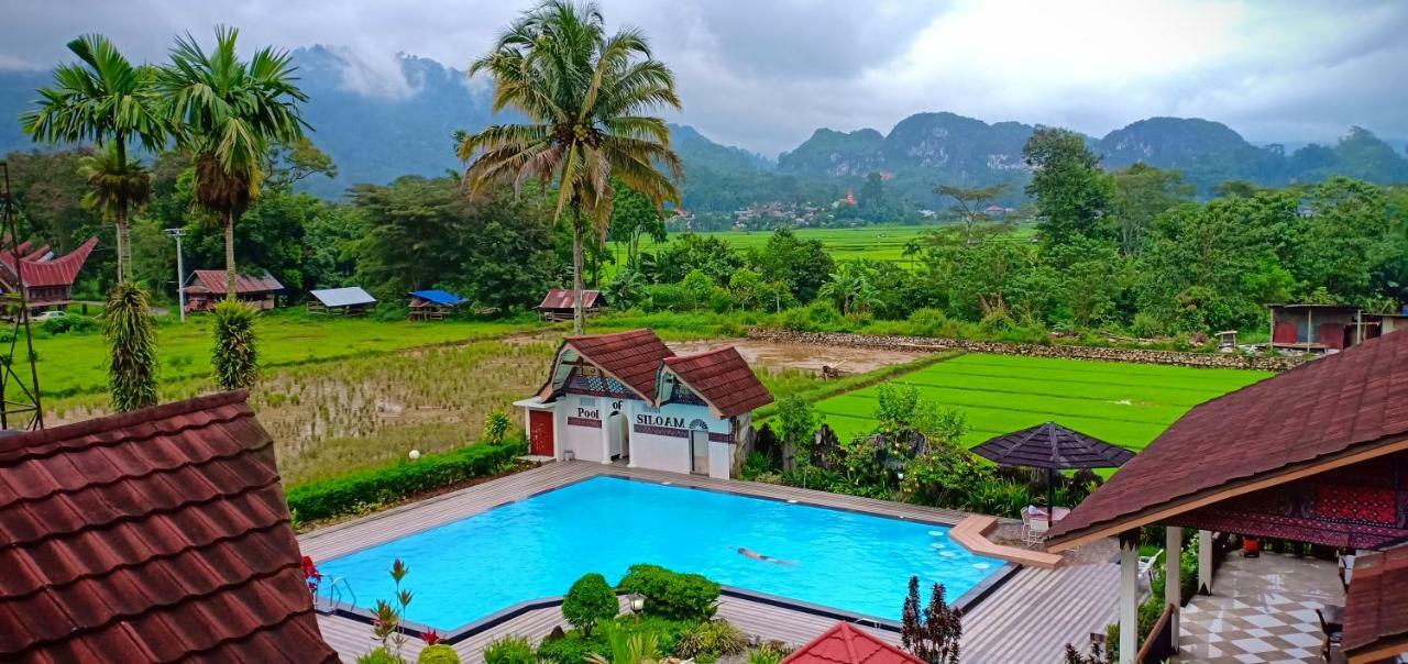 Toraja Torsina Hotel Rantepao Dış mekan fotoğraf