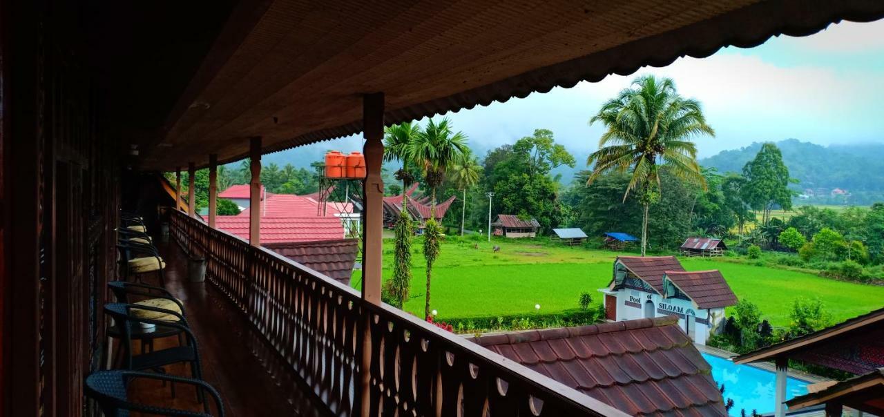 Toraja Torsina Hotel Rantepao Dış mekan fotoğraf