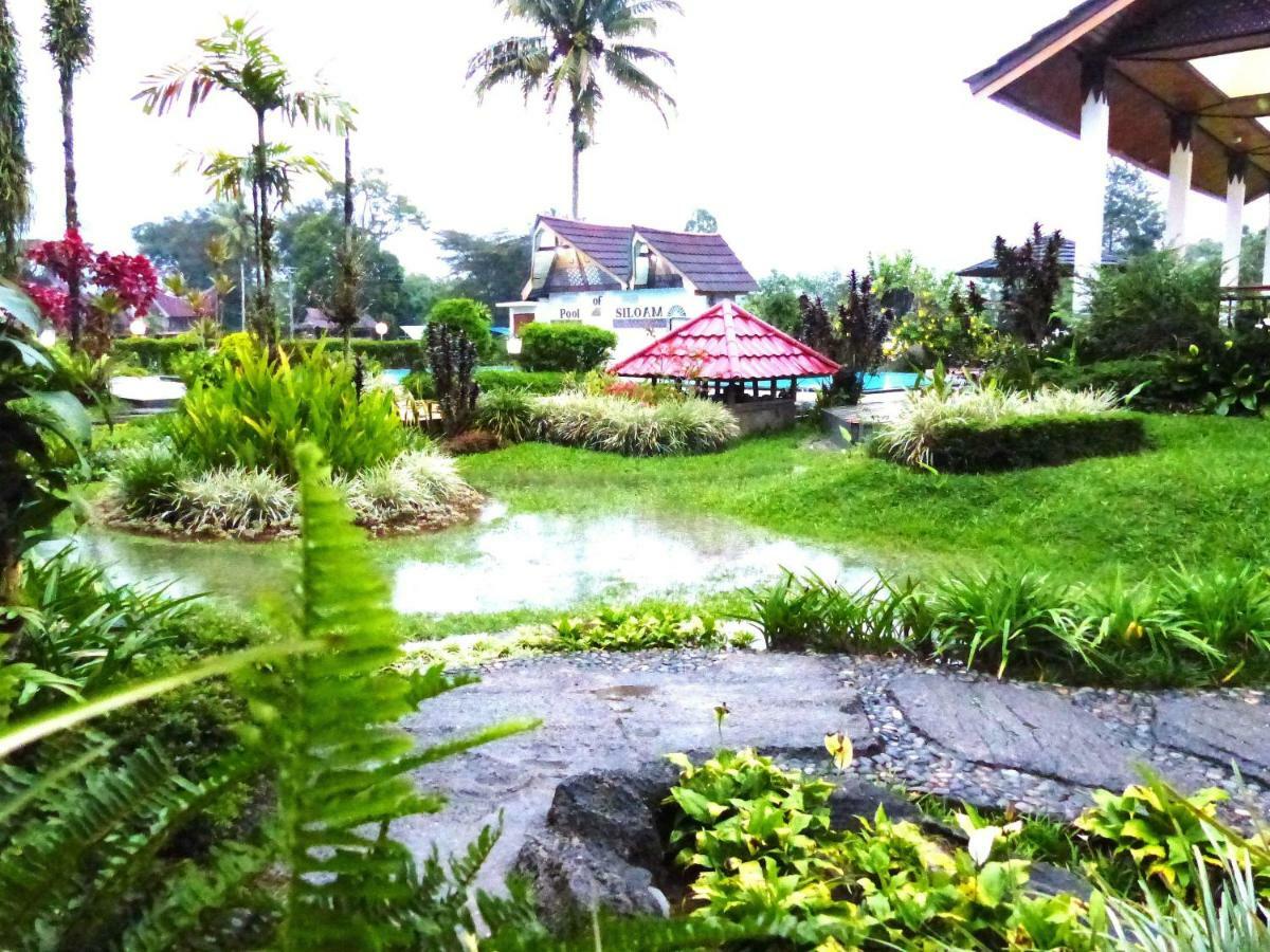 Toraja Torsina Hotel Rantepao Dış mekan fotoğraf