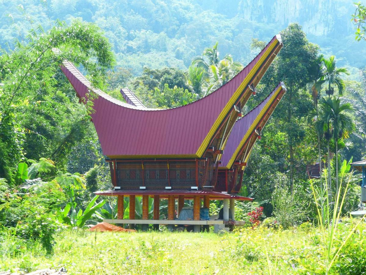 Toraja Torsina Hotel Rantepao Dış mekan fotoğraf