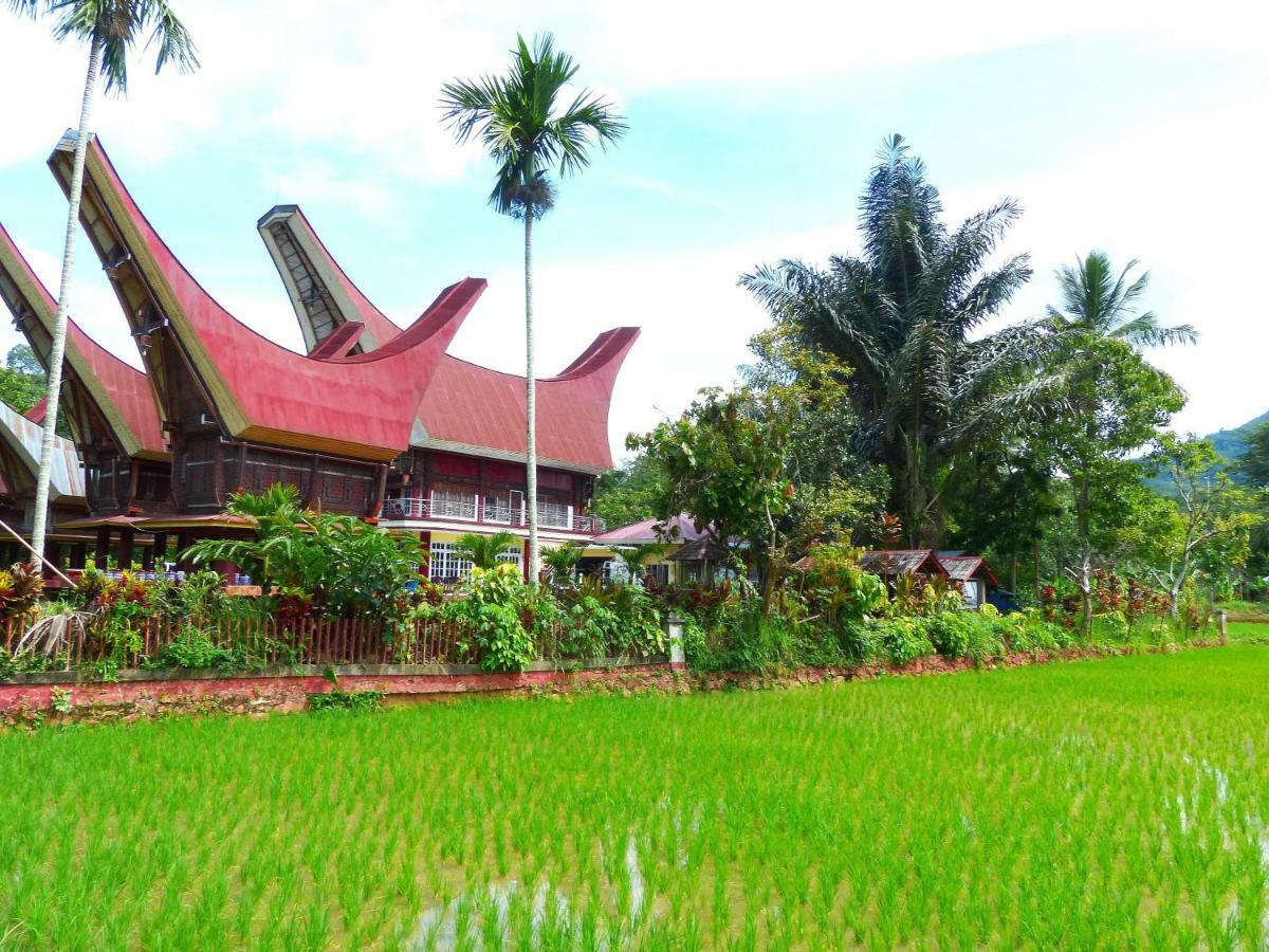 Toraja Torsina Hotel Rantepao Dış mekan fotoğraf